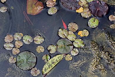 《全网公敌2 新世界》第四章现已更新！揭秘上流社会内幕！